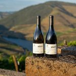 Real Companhia Velha