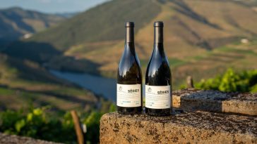 Real Companhia Velha