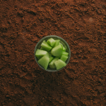 A Padaria Portuguesa