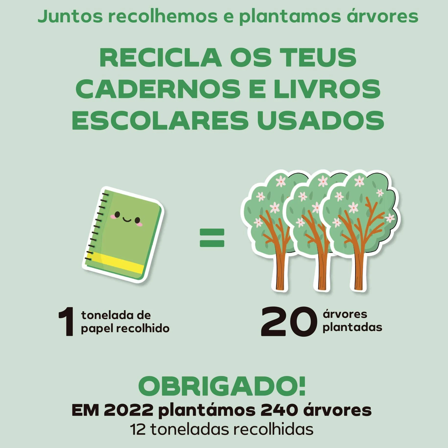 Continente recolhe cadernos escolares usados para reciclagem e plantação de árvores