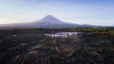 Azores Wine Company
