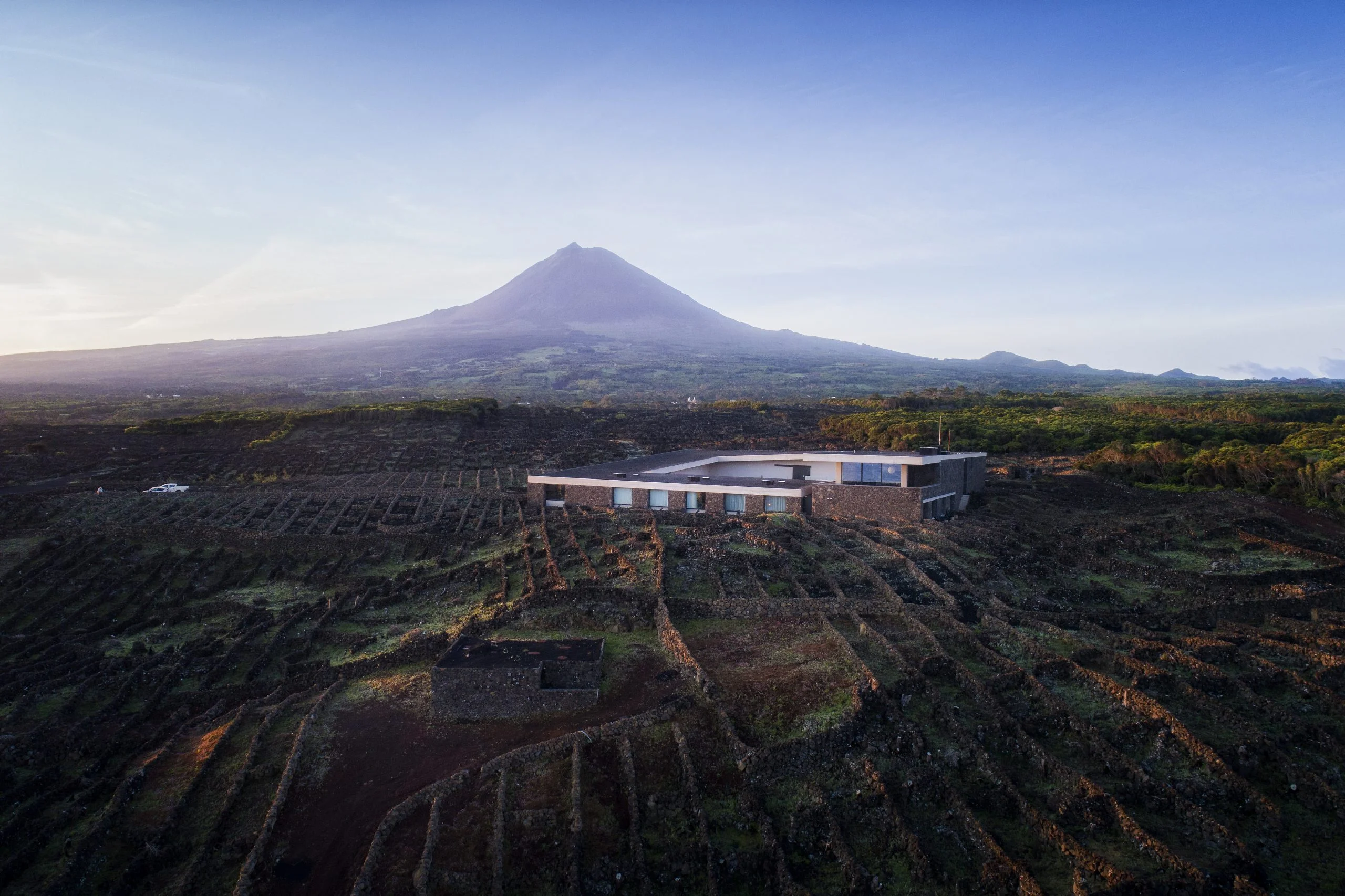 Azores Wine Company é uma das 100 Melhores Adegas do Mundo