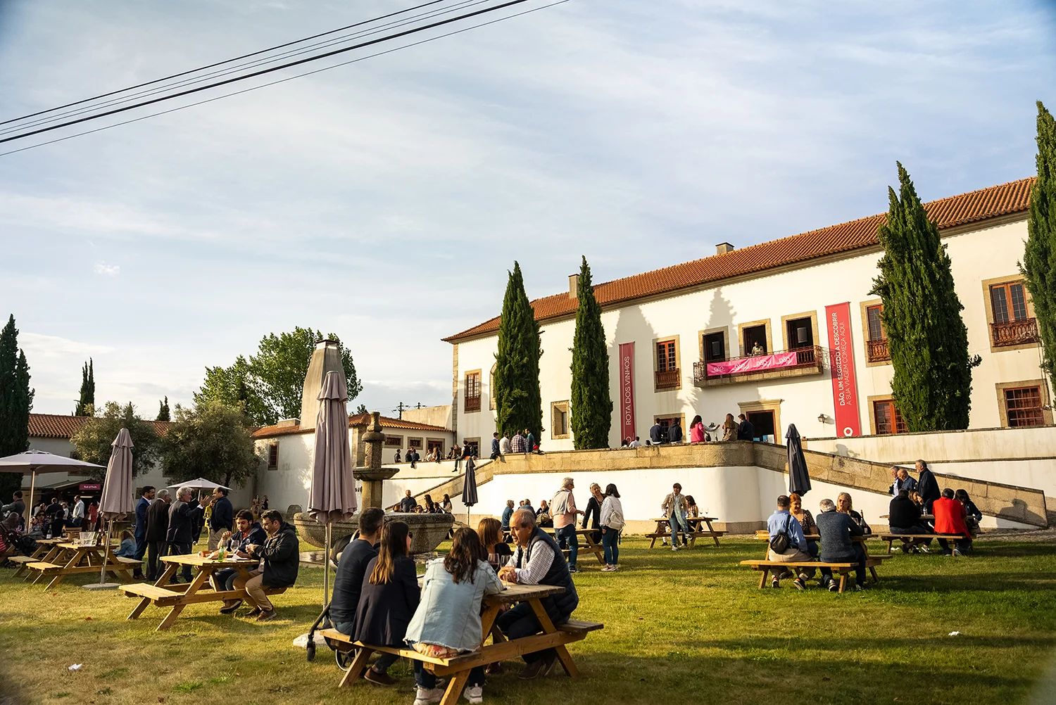 Vinhos Dão com maior ajustamento no preço médio litro entre os vinhos portugueses