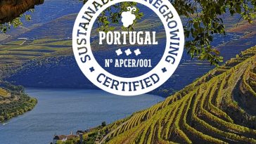 Real Companhia Velha