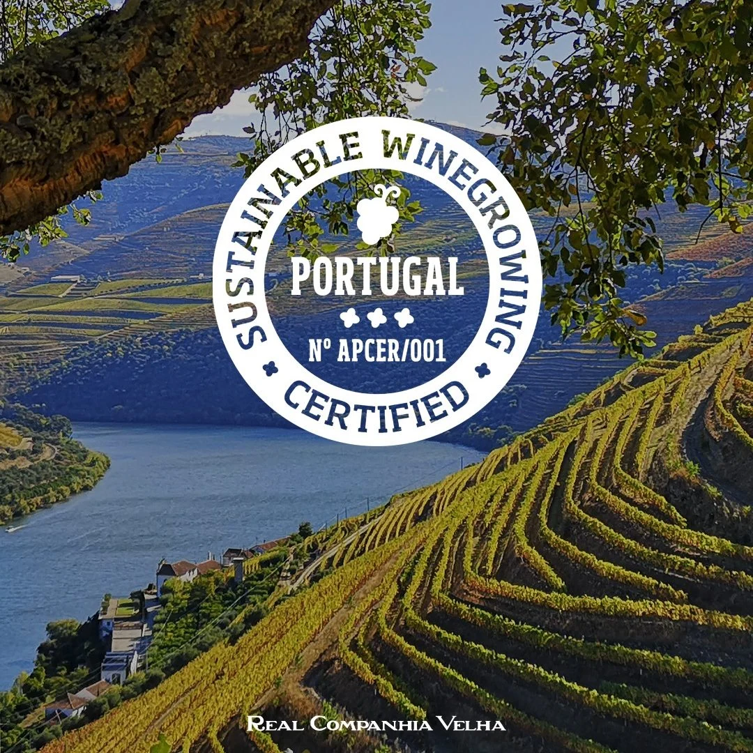 Real Companhia Velha certificada pelo Sustainable Winegrowing Portugal