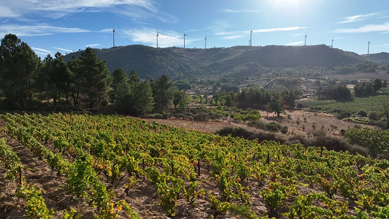 M. Cunha Vinhos com distribuição exclusiva dos vinhos Titan of Douro no norte e centro de Portugal
