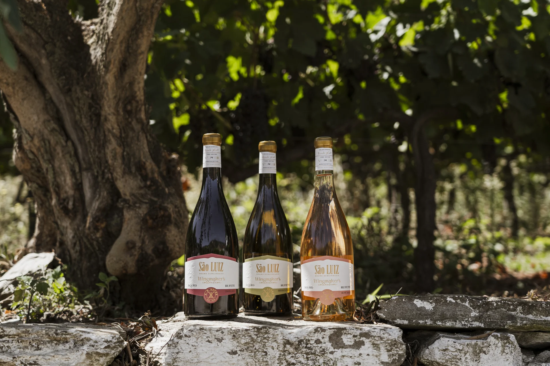 São Luiz Winemaker’s Collection lança trio de edição limitada