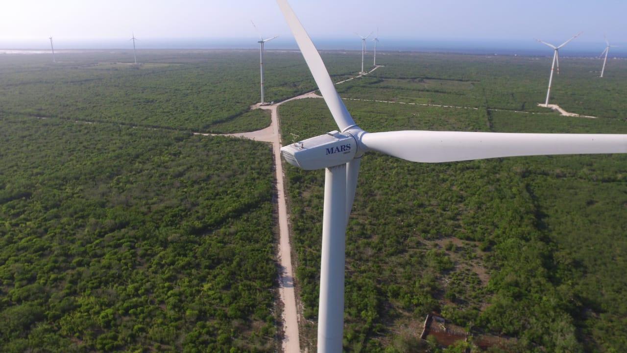 Mars quer reduzir em 50% as emissões em toda a cadeia de produção até 2030