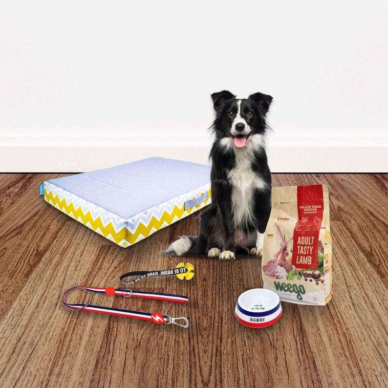 ZU Kits de Adoção ZUper