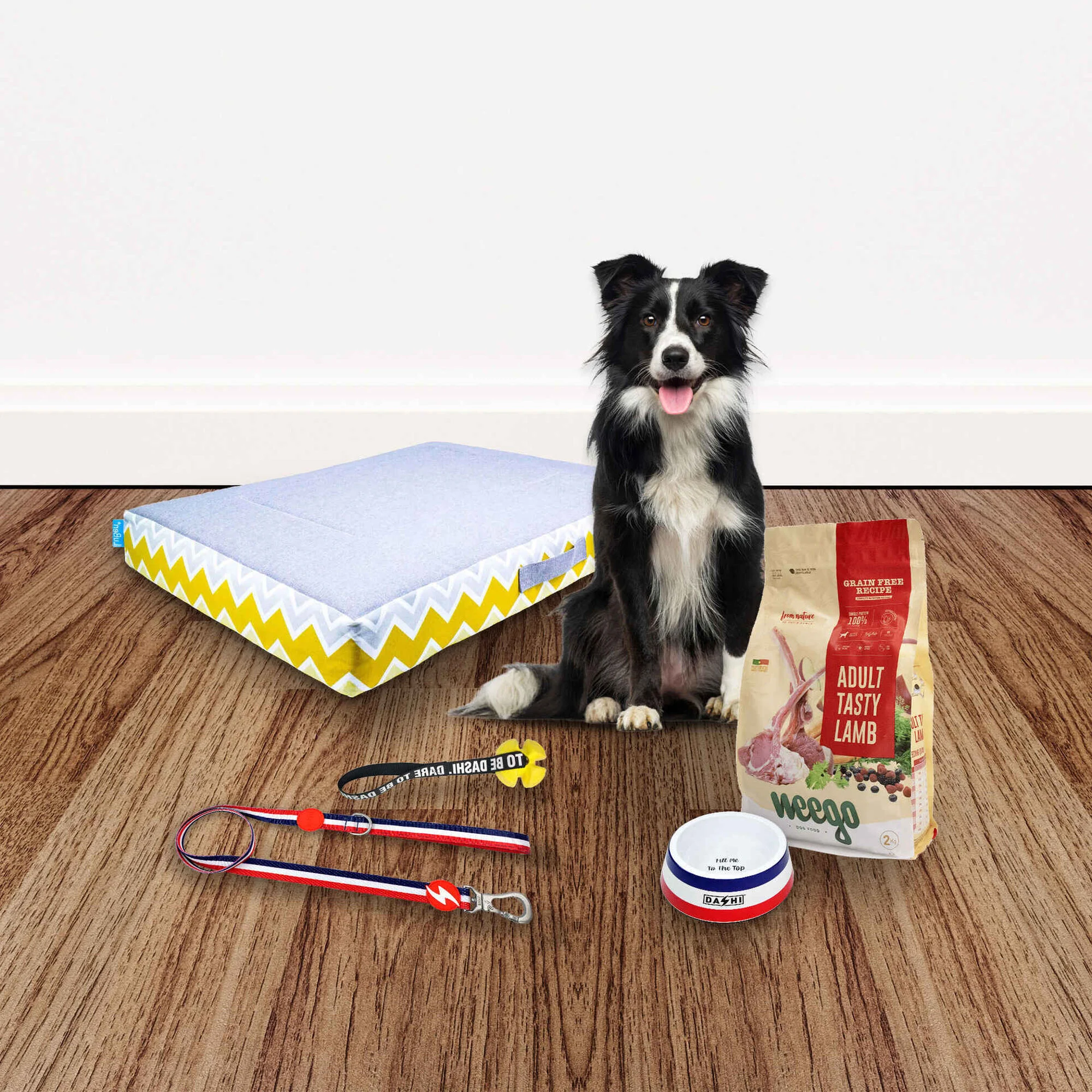 ZU lança kits de adoção com produtos essenciais para cão e gato