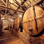 Falua Quinta do Mourão Douro