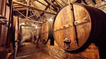 Falua Quinta do Mourão Douro