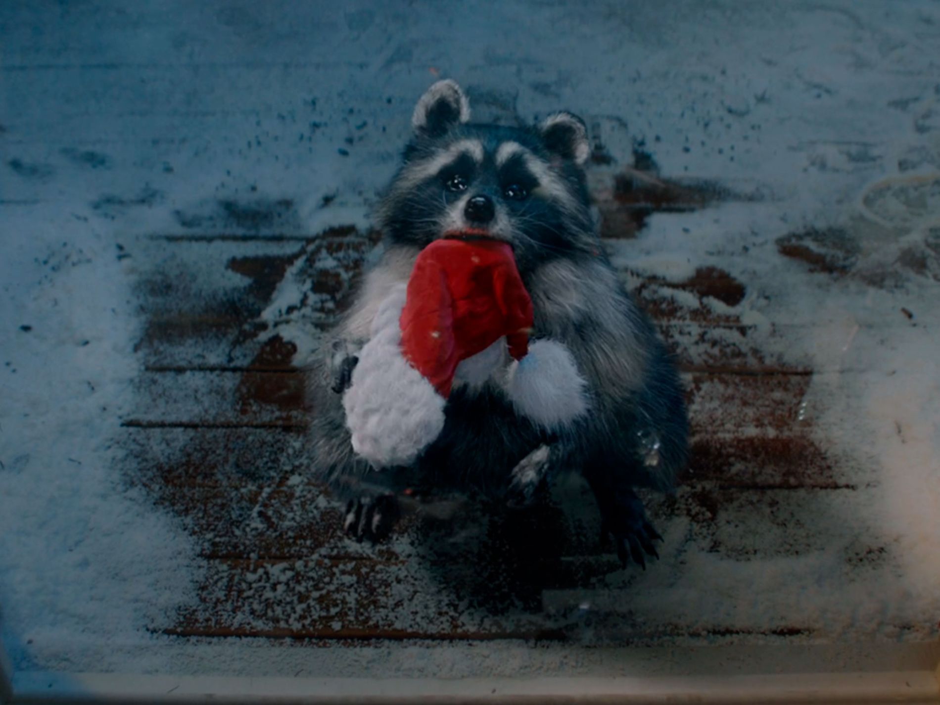 Lidl celebra o Natal com nova campanha multimeios