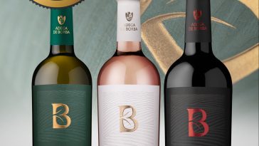 Adega de Borba nova imagem