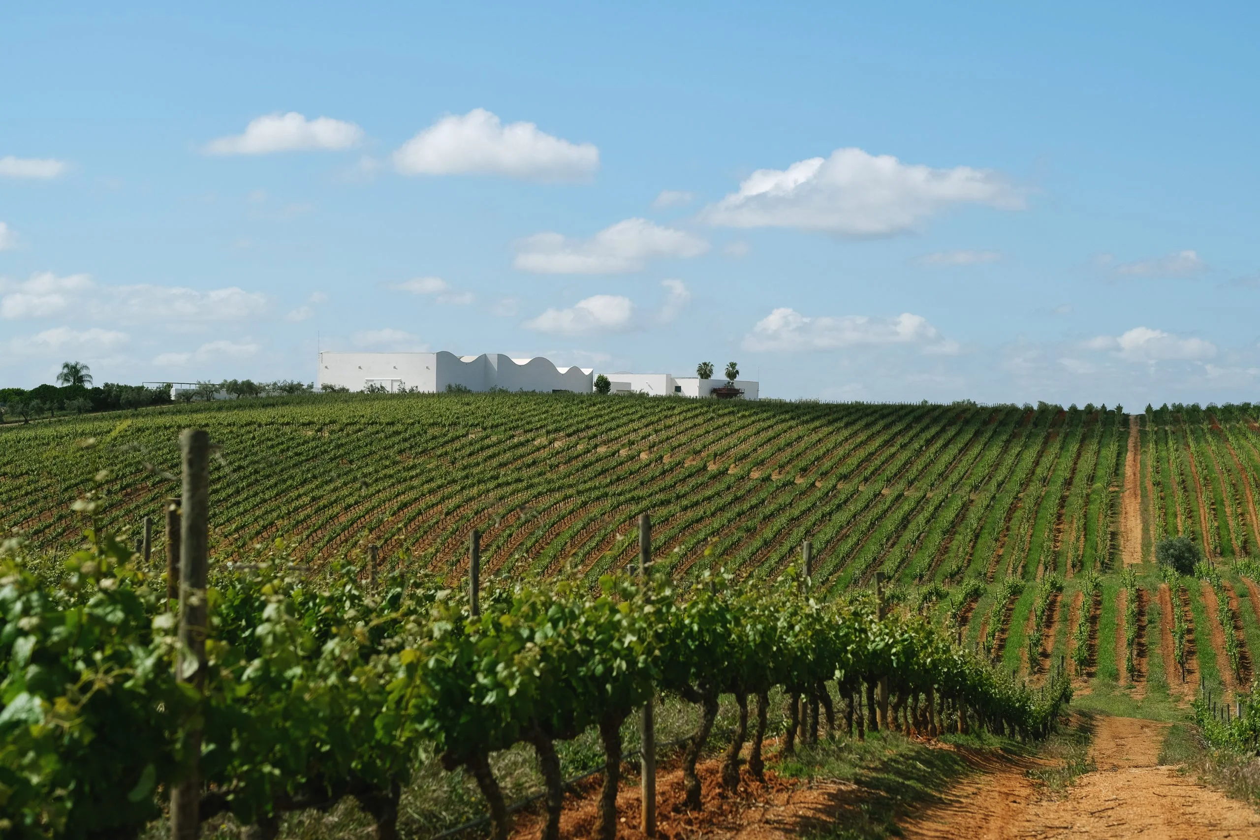 Herdade do Peso anuncia Ícone 2018