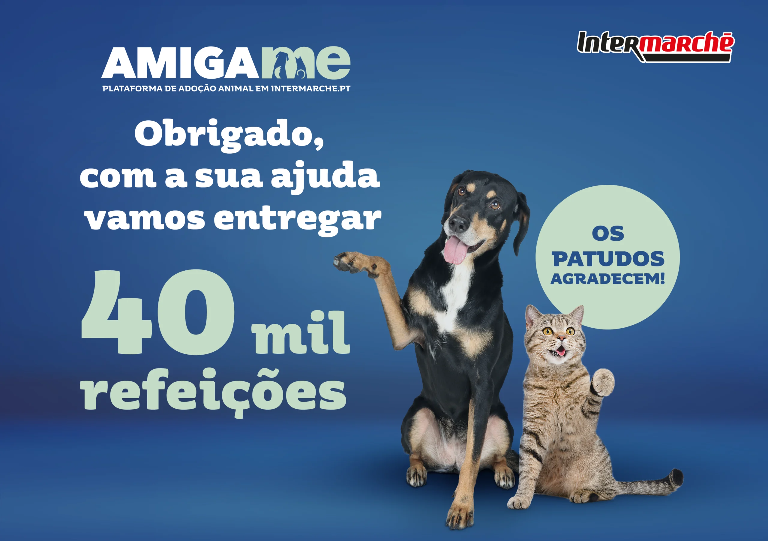 Campanha Amiga-me do Intermarché angaria mais de 40 mil refeições para animais abandonados