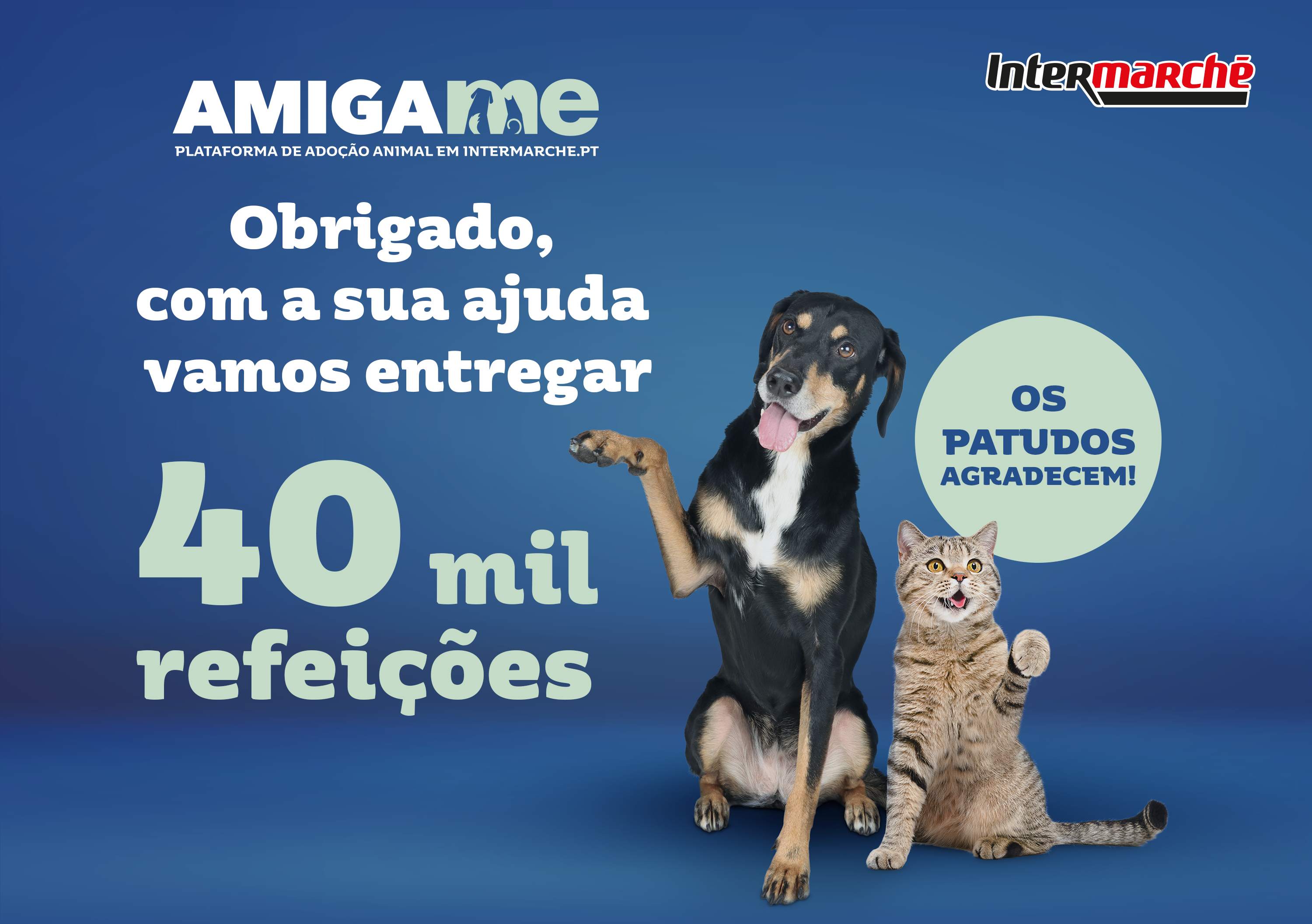 Campanha Amiga-me do Intermarché angaria mais de 40 mil refeições para animais abandonados