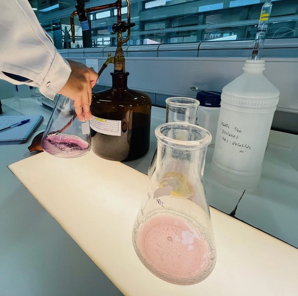 Laboratório da Comissão dos Vinhos Verdes dá a conhecer processo de certificação e análise sensorial