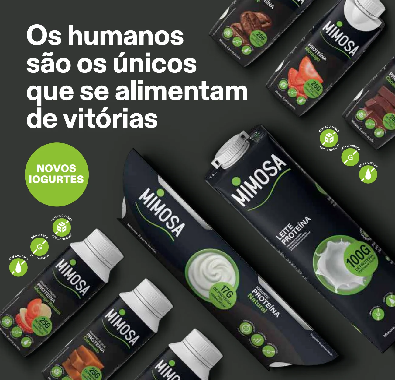 Mimosa alarga gama de iogurtes sólidos Mimosa Proteína