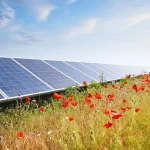 Lidl Sustentabilidade