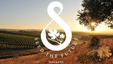Sogrape Sustentabilidade