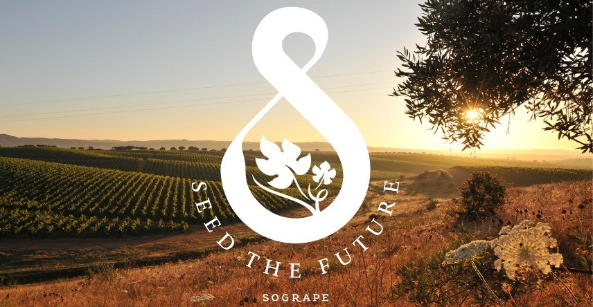 Sogrape com sustentabilidade certificada em todas as regiões portuguesas onde produz vinho