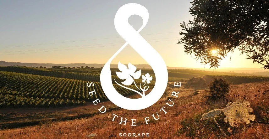 Sogrape com sustentabilidade certificada em todas as regiões portuguesas onde produz vinho