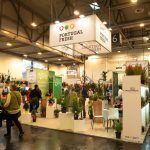 Portugal Fresh plantas