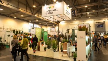 Portugal Fresh plantas