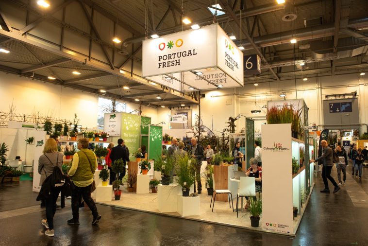 Portugal Fresh plantas