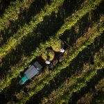 Vinalda Barcos Wines