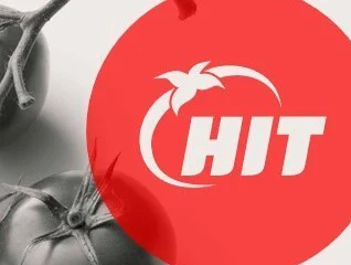 Grupo HIT regista volume de negócios recorde de 140 milhões de euros