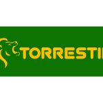 Torrestir