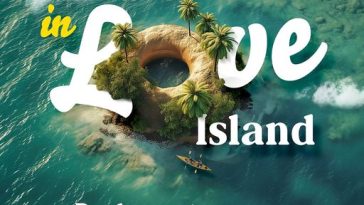 Donuts viagem Nova Zelândia