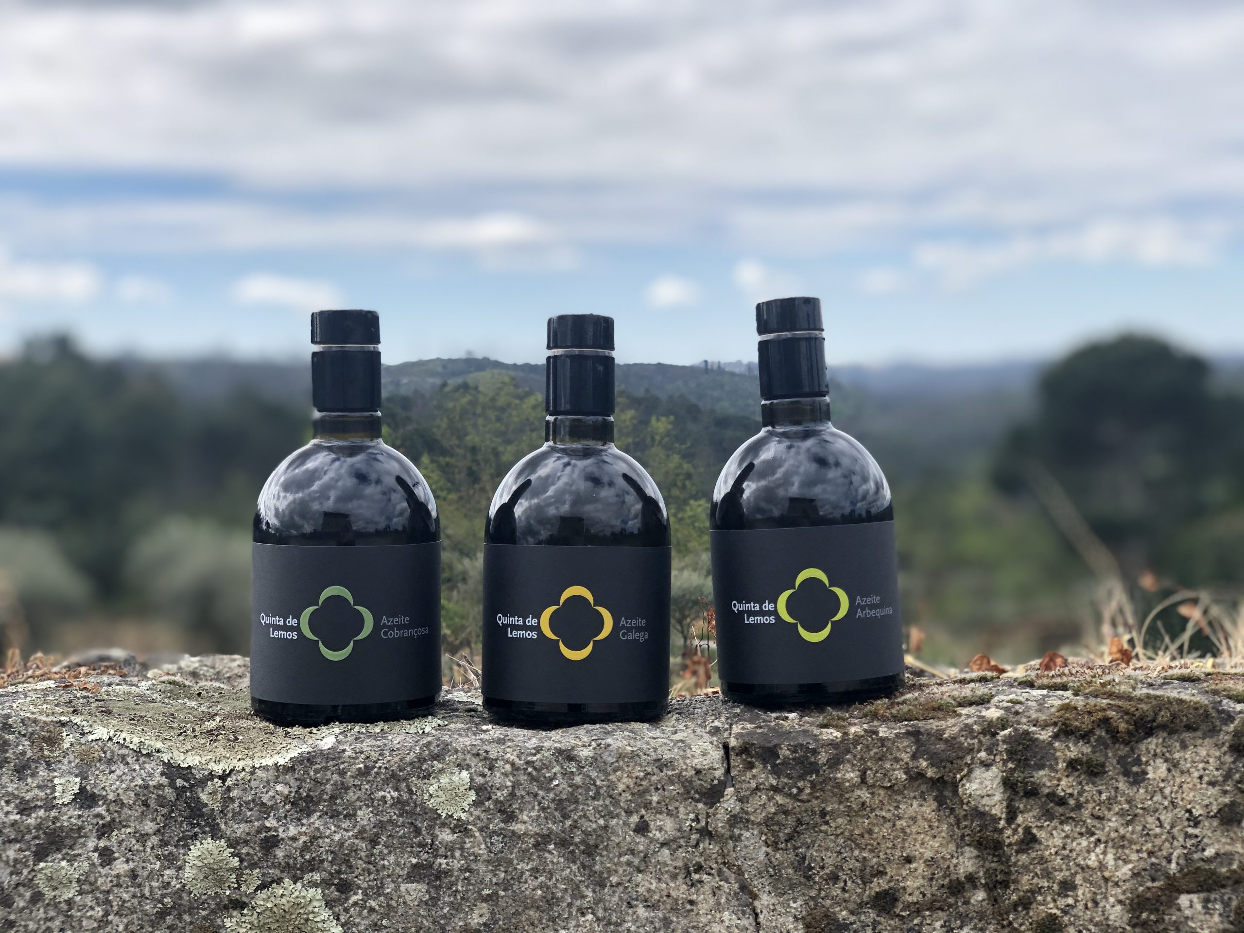 Quinta de Lemos apresenta novas colheitas de azeite