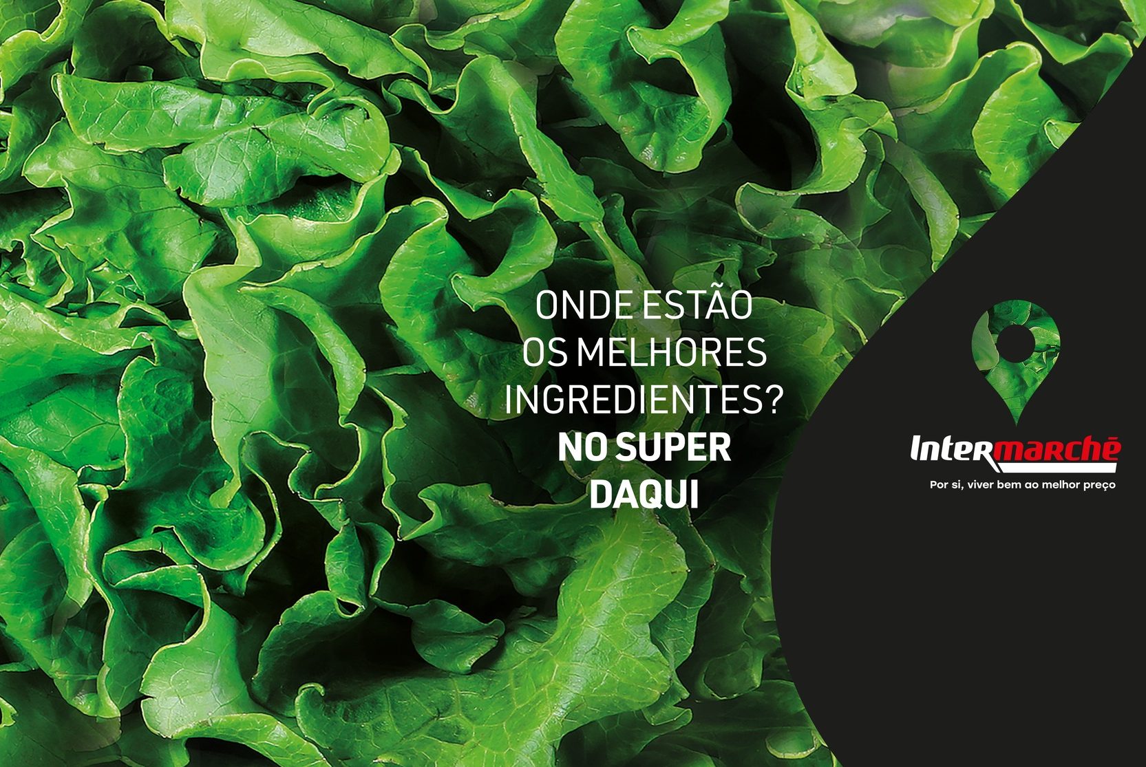 Nova campanha do Intermarché renova compromisso com a proximidade