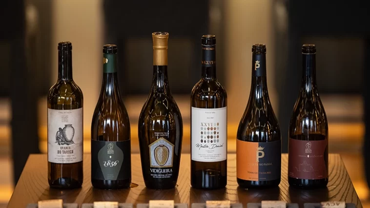 Talha à Mesa Vidigueira