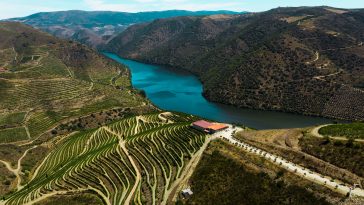 Casa Ermelinda Freitas vinhos