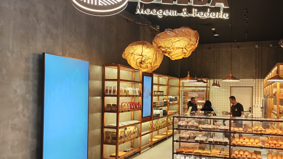 Gleba Inetum expansão