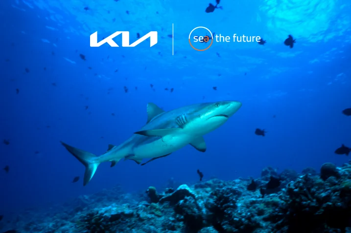Kia Portugal apoia programa mundial de conservação dos oceanos