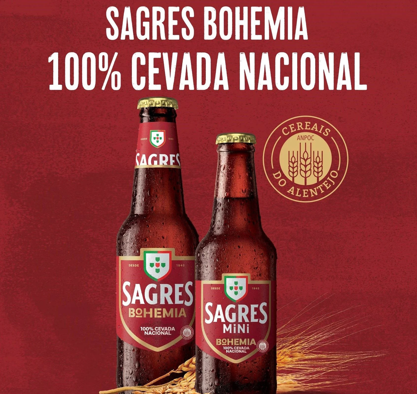 Cerveja Sagres Bohemia produzida com 100% cevada nacional