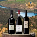 Rozés Prémios-Vinalies-Internationales 2024