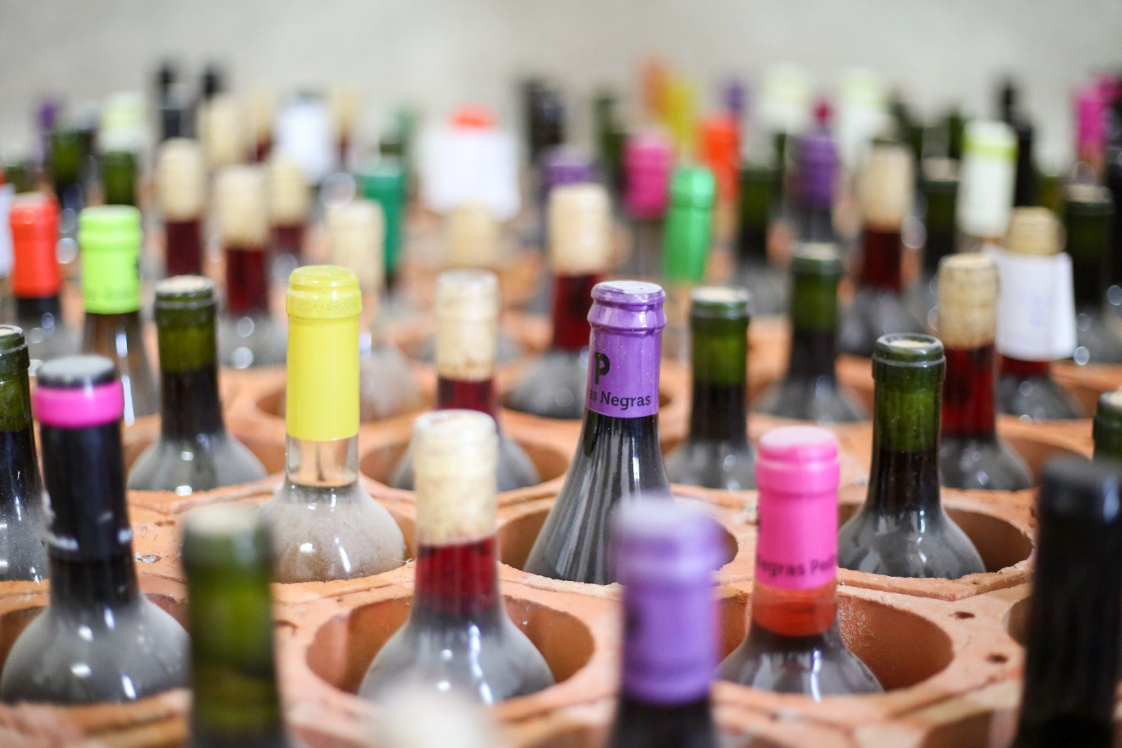 Vinhos da Península de Setúbal