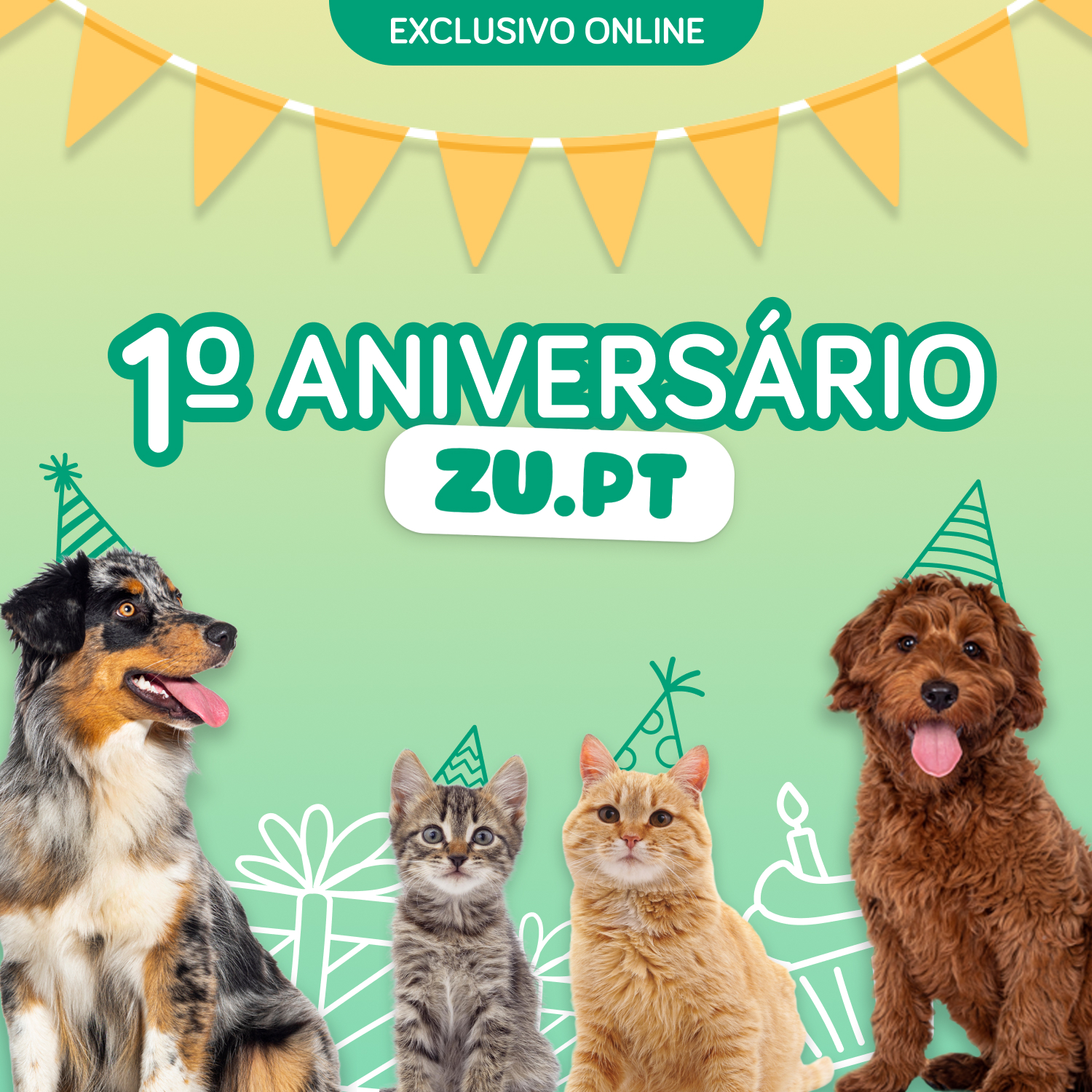 Loja online da ZU celebra primeiro aniversário com peso de dois dígitos na faturação