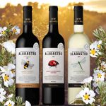 vinhos Alabastro produção sustentável