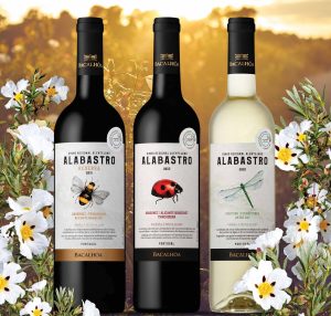 vinhos Alabastro produção sustentável