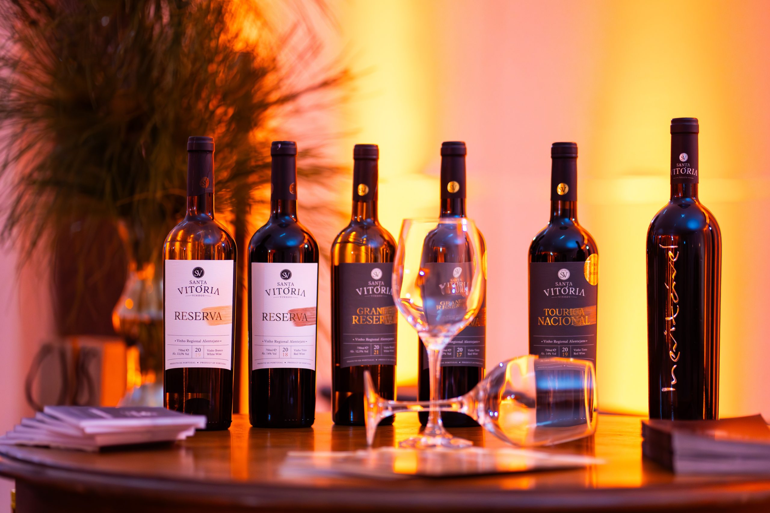 Vila Galé vai testar produção de vinho e azeite no Brasil