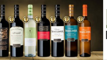 Casa Ermelinda Freitas