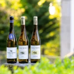 Cazas Novas Colheitas 2022