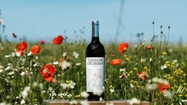 Tapada de Coelheiros Branco